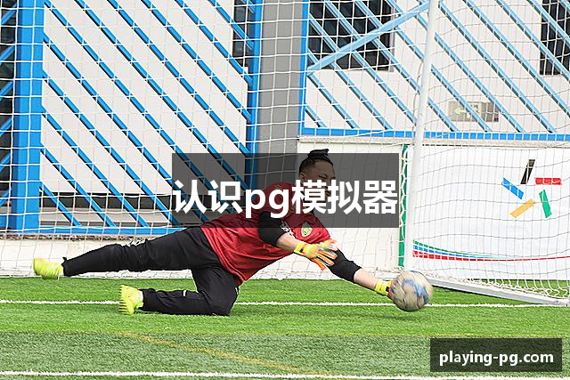 认识pg模拟器